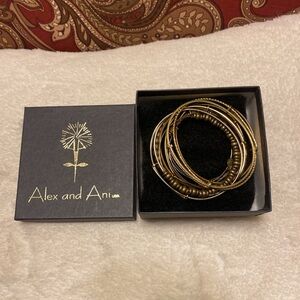 Set of 11 Alex & Ani vintage gold/brass tone expandable bracelets w/gift box
